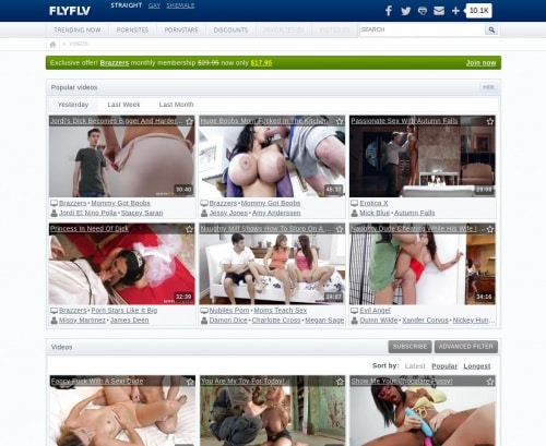 Screenshot from Flyflv.com for review purposes Review screenshot Flyflv.com