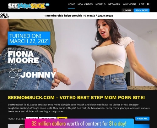 Screenshot from Seemomsuck.com for review purposes Review screenshot Seemomsuck.com