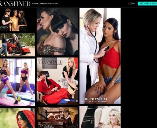 مراجعة لقطة الشاشة Transfixed.com