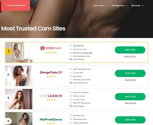 لقطة شاشة لمراجعة Top10CamSites