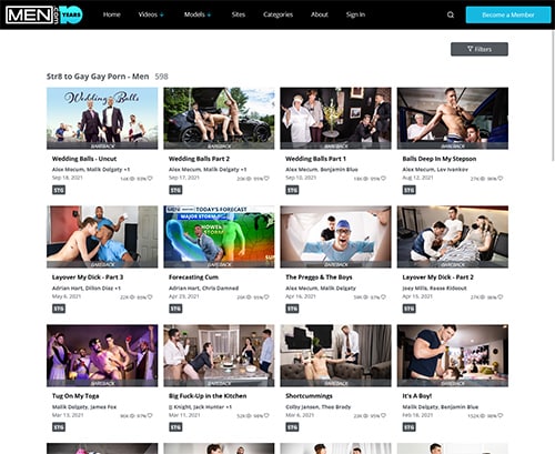 مراجعة لقطة الشاشة Str8togay.com