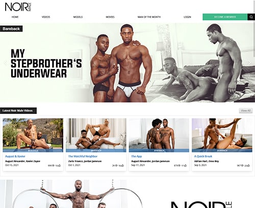 Captura de pantalla de la reseña Noirmale.com