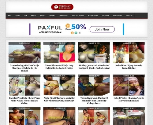 مراجعة لقطة الشاشة Naijauncut.com/