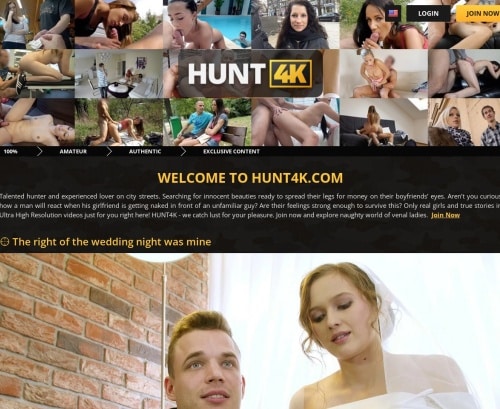 Screenshot from Hunt4k.com for review purposes Review screenshot Hunt4k.com