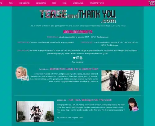 لقطة شاشة لمراجعة TeaseAndThankYou