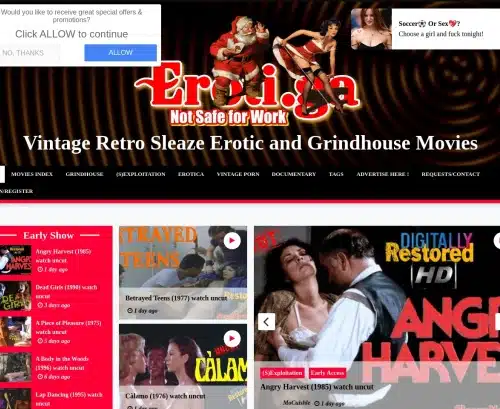 A Review Screenshot of Eroti