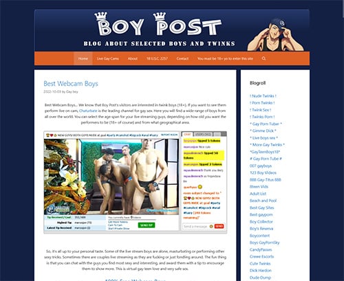 Screenshot from Boypost.com for review purposes Review screenshot Boypost.com
