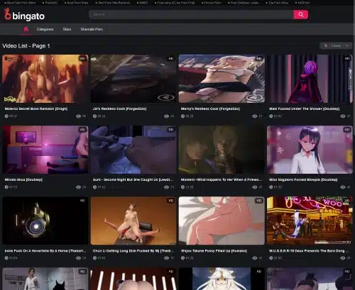 لقطة شاشة لمراجعة Bingato