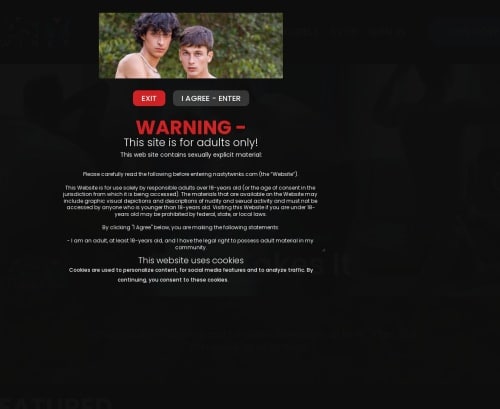مراجعة لقطة الشاشة Nastytwinks.com