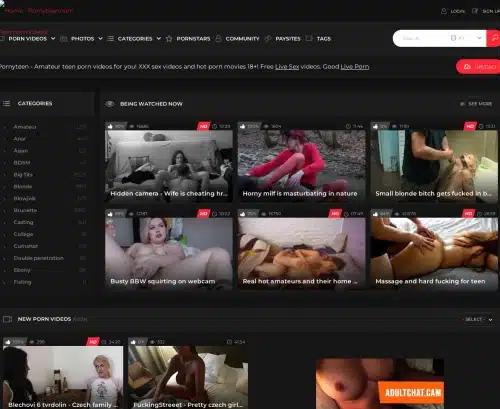 لقطة شاشة لمراجعة PornyTeen