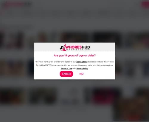 مراجعة لقطة الشاشة Whoreshub.com