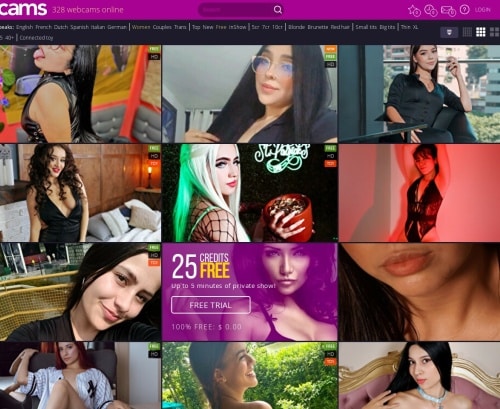 Capture d'écran de xcams.com à des fins d'examen Revoir la capture d'écran xcams.com