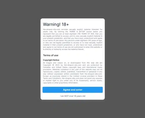 لقطة شاشة للمراجعة لموقع Strapon