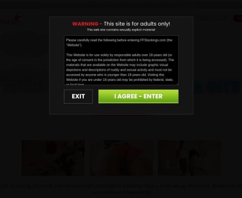 مراجعة لقطة الشاشة Ffstockings.com