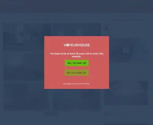 لقطة شاشة مراجعة لـ VoyeurHouse