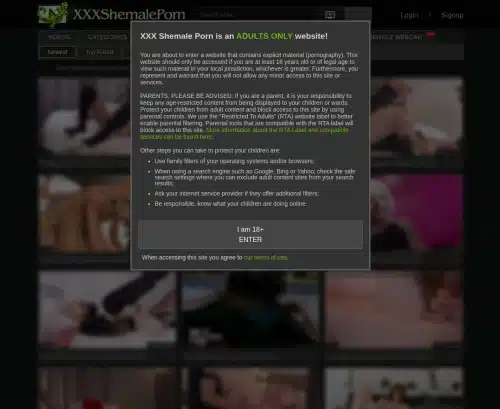 لقطة شاشة لمراجعة Shemale Porn