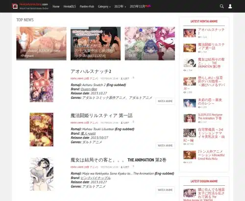لقطة شاشة مراجعة لـ Hentaianimezone