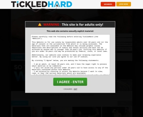 Revisar captura de pantalla Tickledhard.com