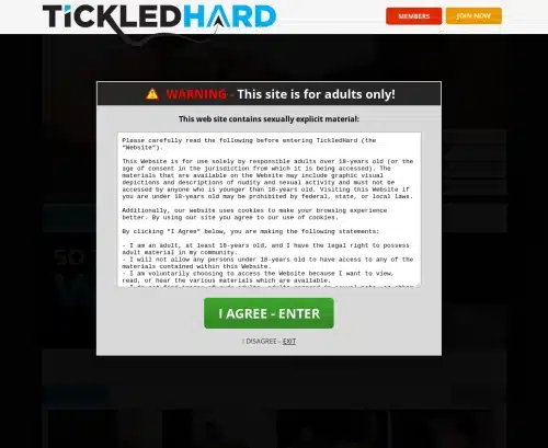 لقطة شاشة مراجعة لـ TickledHard