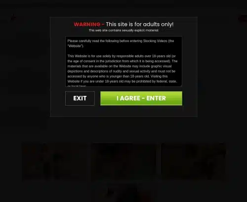 لقطة شاشة لمراجعة StockingVideos