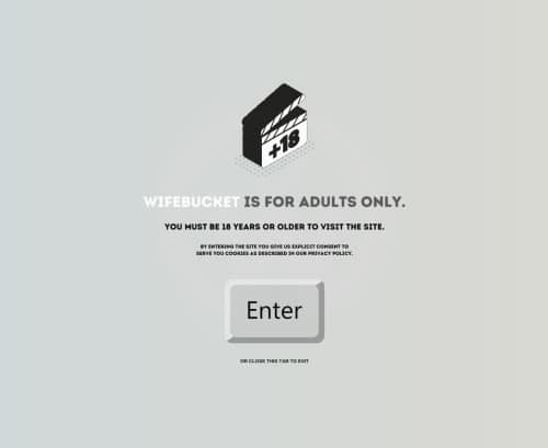 مراجعة لقطة الشاشة wifebucket.com
