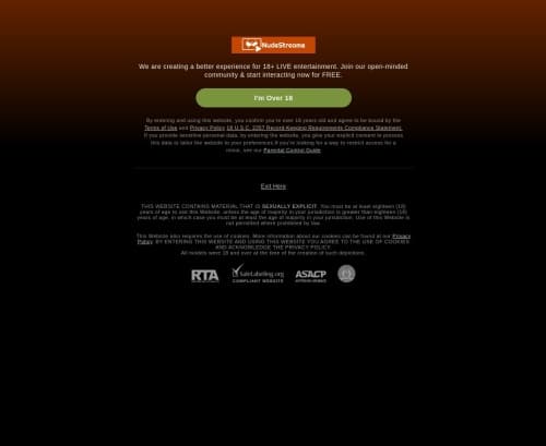 مراجعة لقطة الشاشة Nudestreams.eu