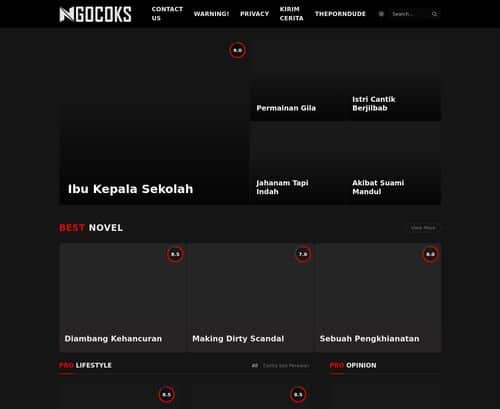 لقطة شاشة لمراجعة Ngocoks.com