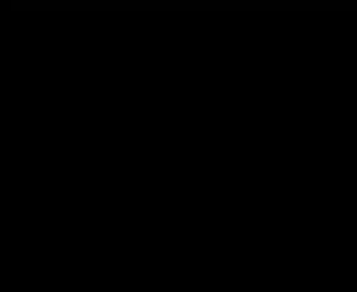 لقطة شاشة لمراجعة تصنيف PornHub Dick