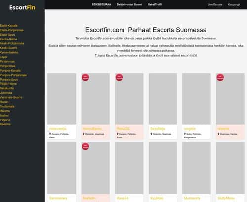 Screenshot from Escortfin.com for review purposes Review screenshot Escortfin.com