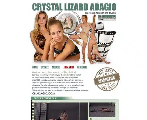 لقطة شاشة لمراجعة CL-Adagio