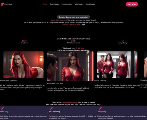 لقطة شاشة لمراجعة Eroticsaga.com