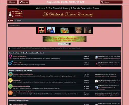 لقطة شاشة لمراجعة موقع Findoms.net