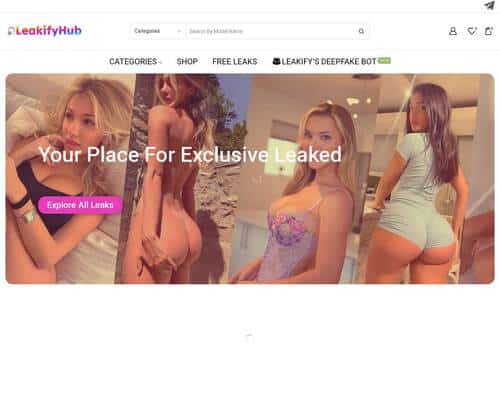 لقطة شاشة لمراجعة Leakifyhub.com