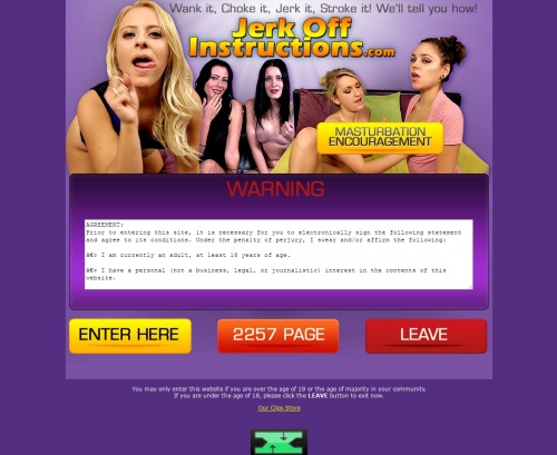 JerkOffInstructions