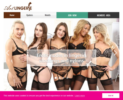 Art Lingerie