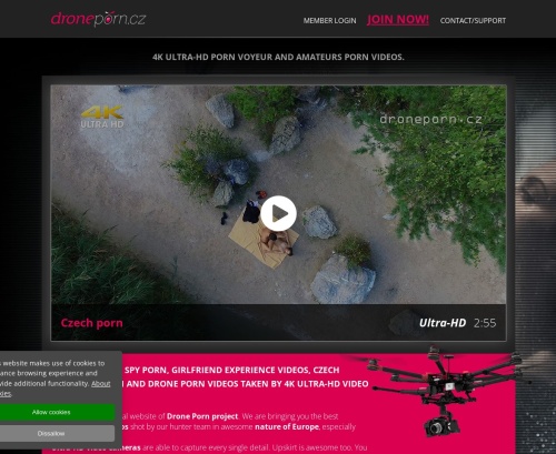 DronePorn