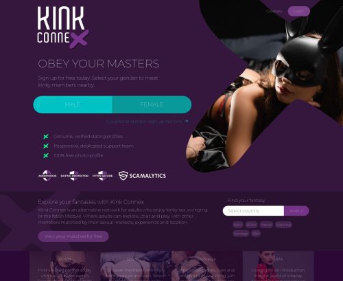 Review screenshot Kinkconnex.com