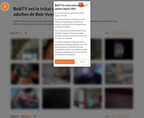 Review screenshot bobtv.fr